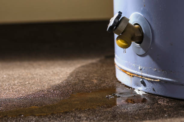 Best 24/7 water damage repair  in Mill Plain, CT