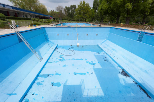 Best Basement water damage restoration  in Mill Plain, CT