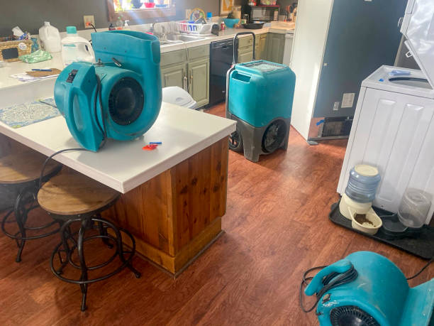Best Ceiling water damage repair  in Mill Plain, CT