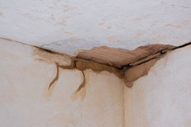 Best Water damage restoration services  in Mill Plain, CT