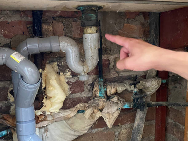 Best Water damage contractors near me  in Mill Plain, CT