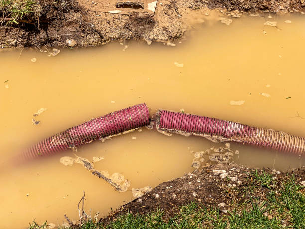 Best Local water damage restoration  in Mill Plain, CT
