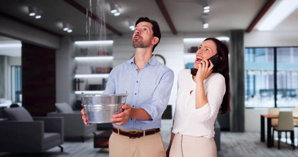 Best Carpet water damage restoration  in Mill Plain, CT
