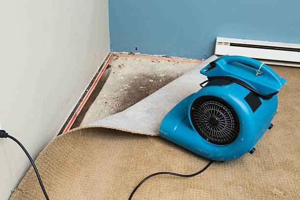 Best Water damage cleanup near me  in Mill Plain, CT